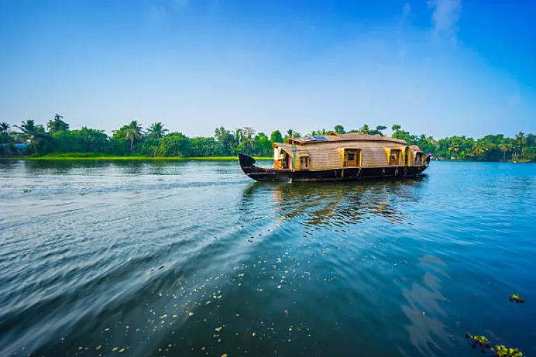 The Ultimate Kerala Travel Guide: Discovering God's Own Country
