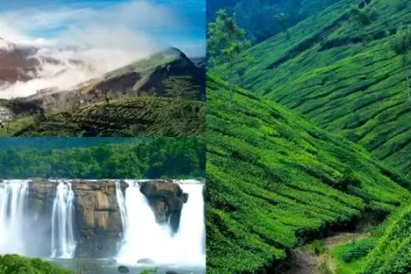 Captivating Kerala Tour Package from Hyderabad